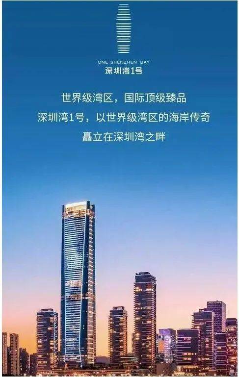 2024网站 深圳湾1号首页-房天下米乐m6网站南山「深圳湾1号」招租(图3)