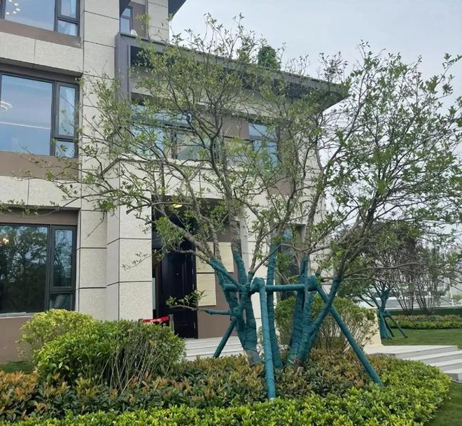 ”不好住还不好卖已经彻底沦为不动产！2025年有一种痛苦叫搬进了“大平层(图16)